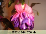 �������� ����� - 15