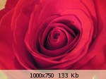�������� ����� - 135