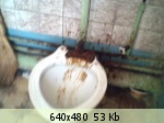 �������� ����� - 34