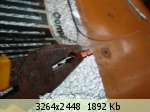�������� ����� - 124