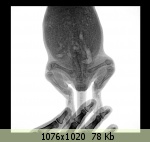 �������� ����� - 132