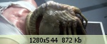 �������� ����� - 16