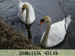 �������� ����� - 25