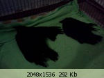 http://imglink.ru/thumbnails/12-06-12/2bc675ac5e8879a19c526c4cc4a58184.jpg