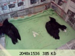 http://imglink.ru/thumbnails/12-06-12/59bb4a0a937118574d4cbec1df05842c.jpg