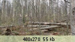 �������� ����� - 66
