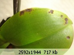�������� ����� - 123