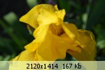 �������� ����� - 96